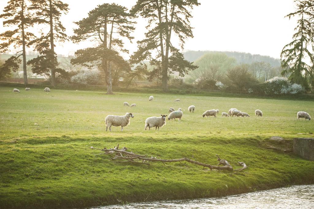 The Bell, Alderminster Bed & Breakfast Stratford-upon-Avon Ngoại thất bức ảnh