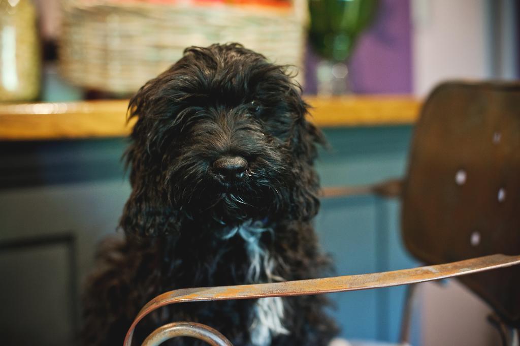 The Bell, Alderminster Bed & Breakfast Stratford-upon-Avon Ngoại thất bức ảnh