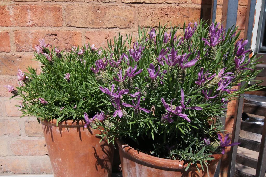 The Bell, Alderminster Bed & Breakfast Stratford-upon-Avon Ngoại thất bức ảnh
